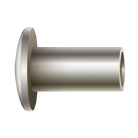 5/16" X 3/4" SEMI-TUBULAR RIVET 9/16HD .254 TUBE<p>- STAINLESS STEEL</p>