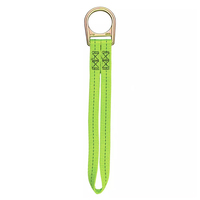 SAFEWAZE SCAFFOLD ANCHOR