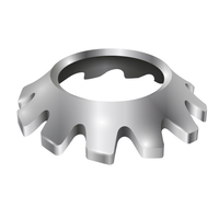 #10 EXTERNAL TOOTH COUNTERSUNK LOCKWASHER - 18-8 STAINLESS